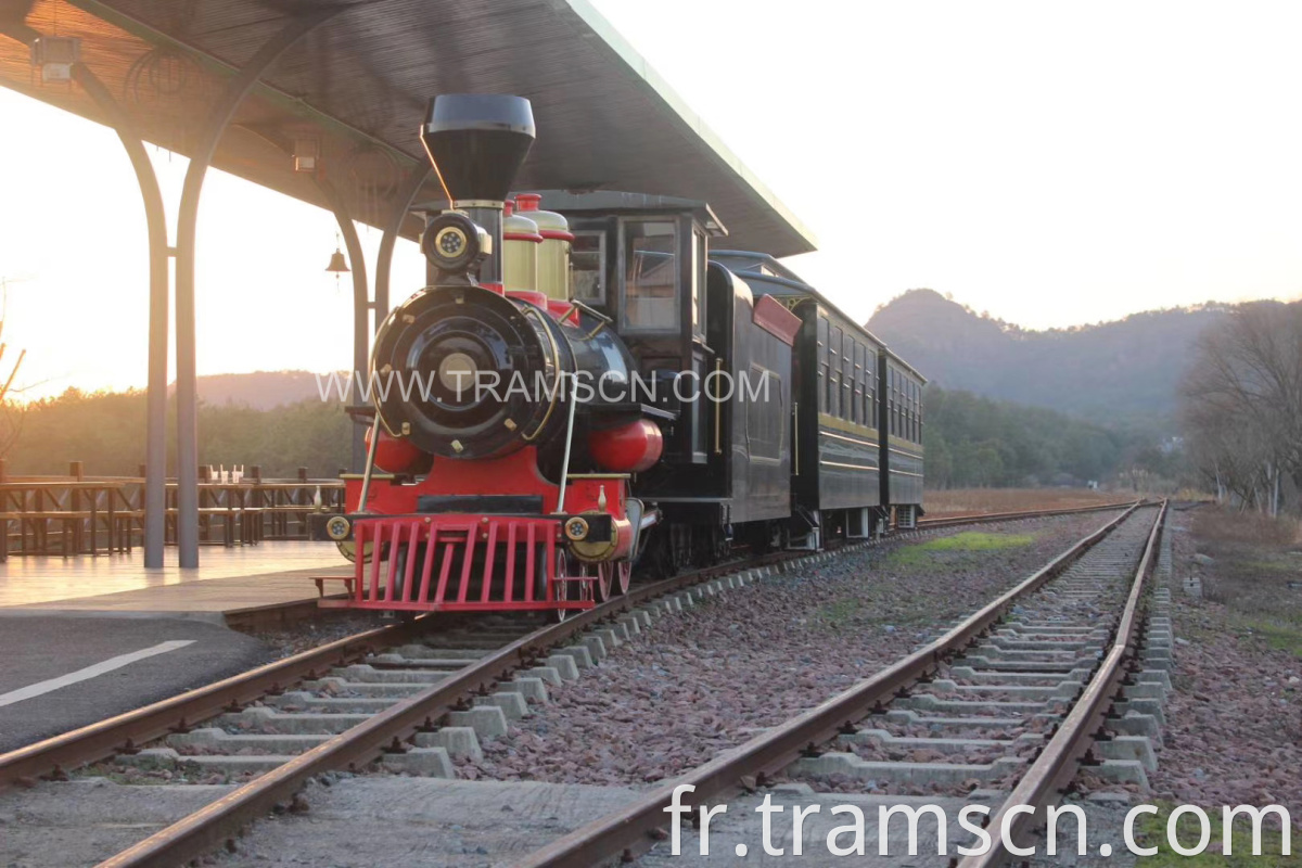 sightseeing train ancient style for photo in station